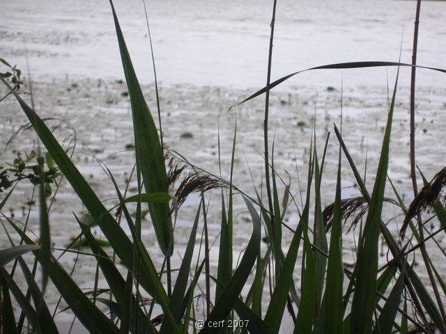 2007 05 Séjour en Brenne 039